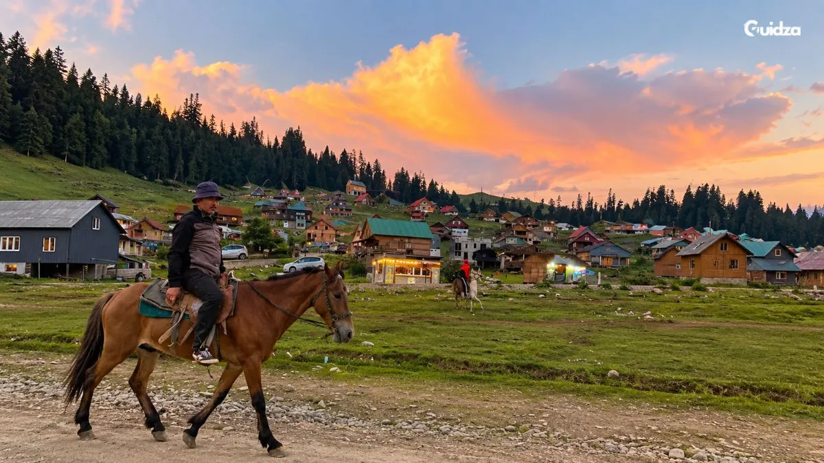 Horse riding in Georgia